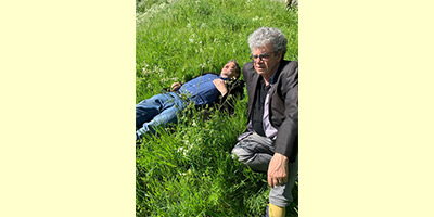 UNE DÉMOCRATIE SPLENDIDE D’ARBRES FORESTIERS UNE DÉMOCRATIE SPLENDIDE D’ARBRES FORESTIERS