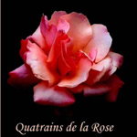 QUATRAINS DE LA ROSE