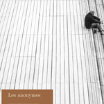 LES ANONYMES – Diptyque